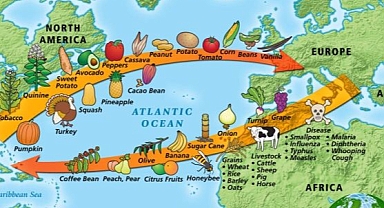 Amerika'ya Özgü Kolomb Takası 