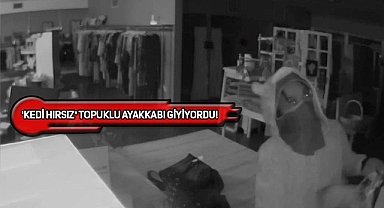 Arizona'da Kedi Kostümlü Hırsız Alarmı!