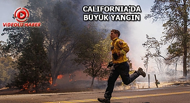 California'da Orman Yangını Kente Sıçradı