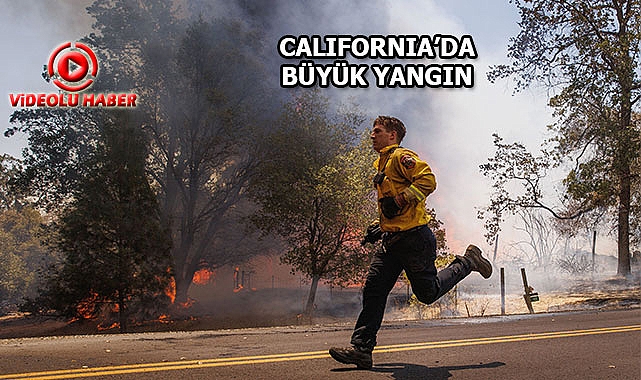 California'da Orman Yangını Kente Sıçradı