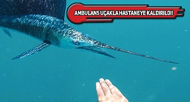 Florida'da 45 Kiloluk Balık Tekneye Çıkıp Kadına Saldırdı