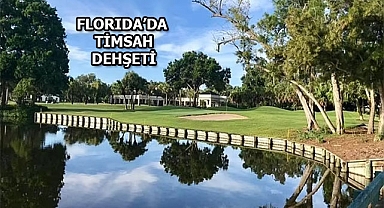 Florida'da Yaşlı Kadını Timsahlar Parçaladı