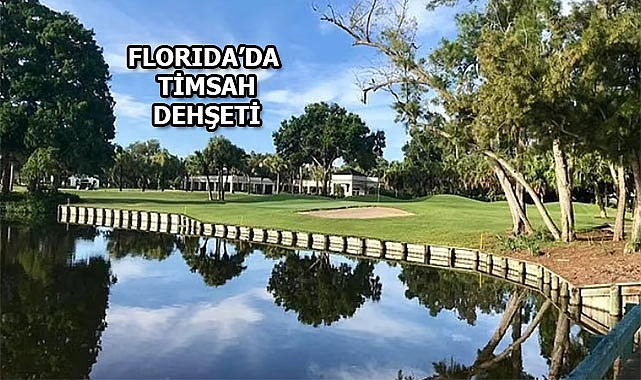Florida'da Yaşlı Kadını Timsahlar Parçaladı