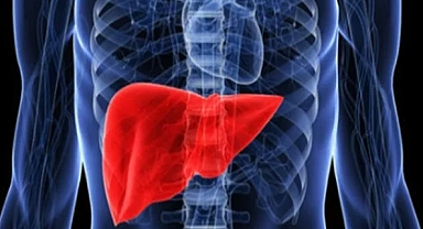 Karaciğeri Temizleyen Besinler