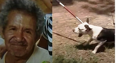 Teksas'ta Yaşlı Adamı Köpekler Parçaladı