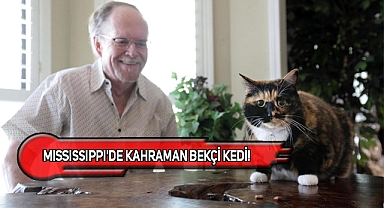 ABD'de Haydut Adlı Kedi Sahibini Kurtardı