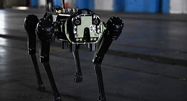 ABD Robot Köpek Kullanmaya Başlıyor