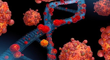 Amerika'da  "acil durum" İlan Edildi