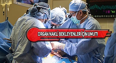 Böbrek Naklinde Çığır Açıldı!