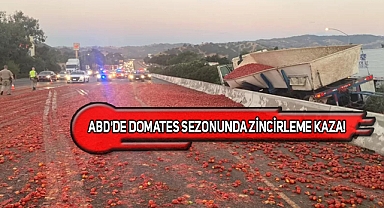 California'da Yüzbinlerce Domates Yola Dökülünce...