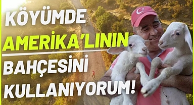 Çanakkale'de Bir Amerikalı'nın Toprağında Çoban