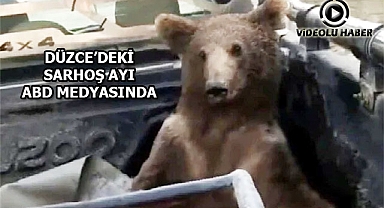 Düzce'de Sarhoş Olan Ayı ABD Medyasında