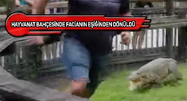 Florida'da Timsahın Gazabından Böyle Kurtuldu!