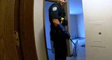 Wisconsin'da Hindi Operasyonu