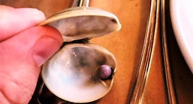 Yemeğinden Öyle Bir Şey Çıktı ki!