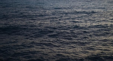 ABD'de Korkunç İddia! Çocuklarını Okyanusta boğdu