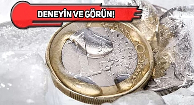 Buzluğa Madeni Para Koymak Hayat Kurtarır!