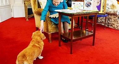 II. Elizabeth'in Hayvanlarına Ne Olacak?