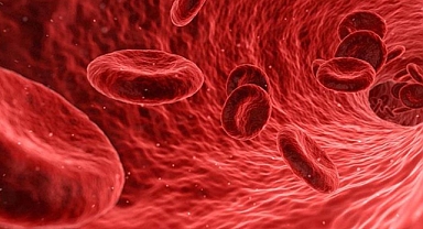 Kan Gruplarının Hastalıkları