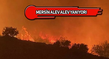 Mersin'de Orman Yangını! Yaralılar Var...
