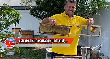 ABD'de 'Kirisbee Senin Kovanın' Projesi Devam Ediyor