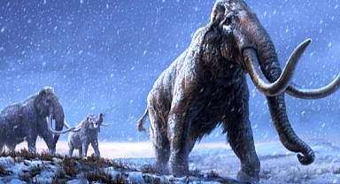 CIA ve Paris Hilton Mamutları Geri Getirmek İstiyor