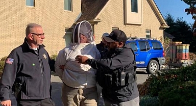 Evi Tahliye Etmeye Gelen Polislere Arılarla Saldırdı