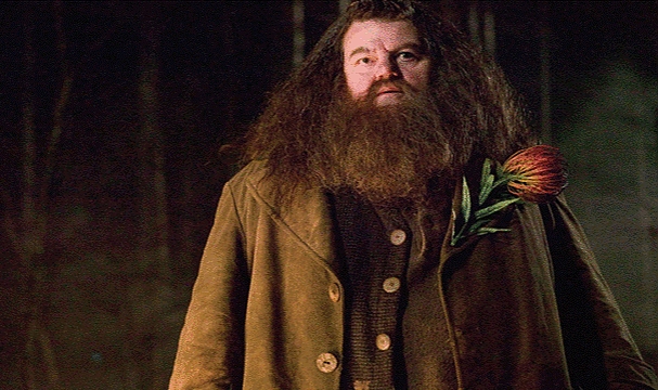 Harry Potter'ın 'Hagrid'i,72 Yaşında Hayatını Kaybetti