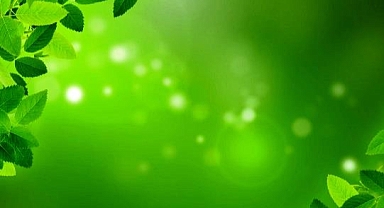 Mentol Neden Serinlik Hissi Verir?