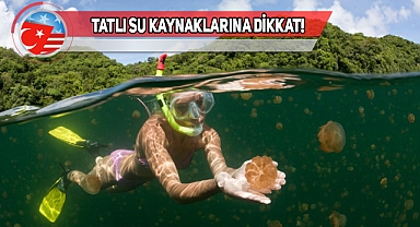 Nevada'da Göle Girdi, Beyin Yiyen Amipten Öldü