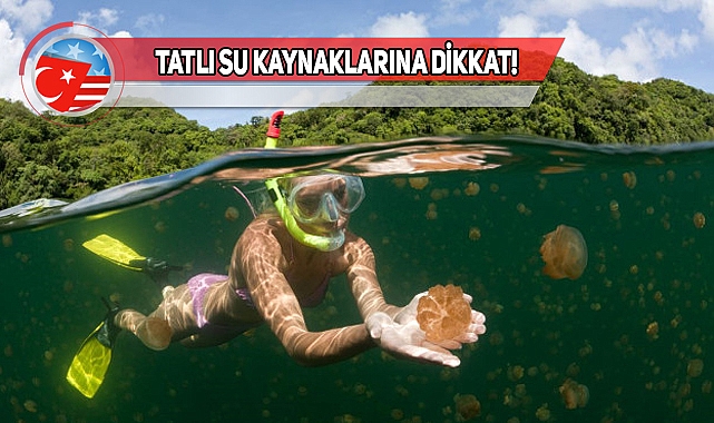 Nevada'da Göle Girdi, Beyin Yiyen Amipten Öldü