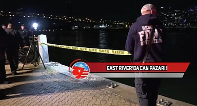 Roosevelt Island'da Baba Oğul Araçlarıyla Nehre Uçtu