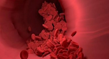 Dünyada İlk: Laboratuvarda Üretilen Kan İnsanlara Nakledildi