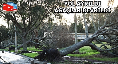 Florida'da Nicole Kasırgası