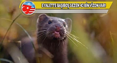 Ohio'luların Dikkatine! 