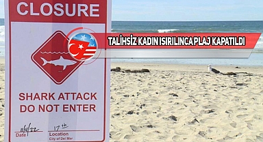 San Diego Del Mar'da Köpek Balığı Saldırısı