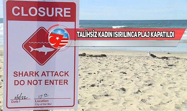 San Diego Del Mar'da Köpek Balığı Saldırısı