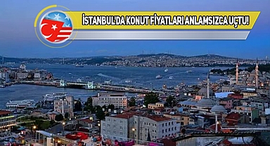 Ümraniye'de 3+1 Yerine ABD'den Alınabilecek 11 Ev!