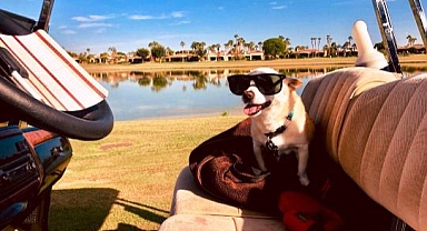 Yaşını Duyunca Çok Şaşıracaksınız!