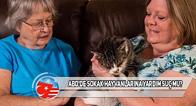ABD'de Sokak Kedilerini Besleyen Kadınlar Ceza Aldı