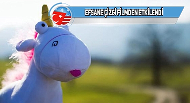 California'da Bir Çocuğa Unicorn Ruhsatı Verildi