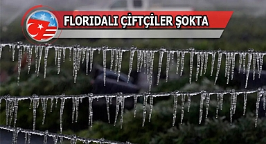 Florida'da Dondu