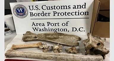 Havalimanında Yolcunun Üzerinden Çıkanlara İnanamayacaksınız