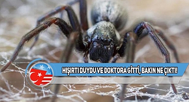 Kansas'ta Uykusunda Kulağından İçeri Giren Şey Şaşırttı