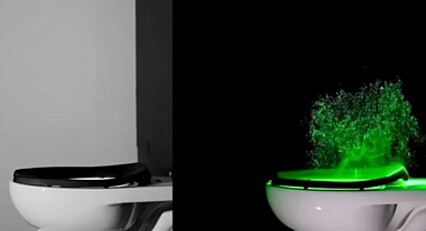 Sifonu Çekmeden Önce Klozetin Kapağını Kapatın Çünkü