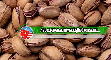 ABD'de Antep Fıstığı, Türkiye'dekinden Daha Ucuz
