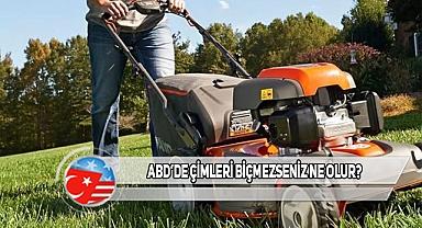 ABD'de Çimler Nasıl Bu Kadar Düzenli Kalıyor?