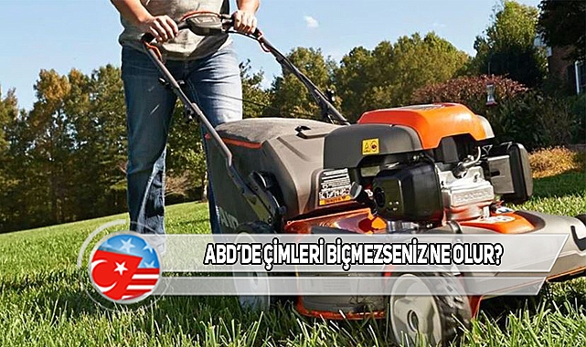 ABD'de Çimler Nasıl Bu Kadar Düzenli Kalıyor?