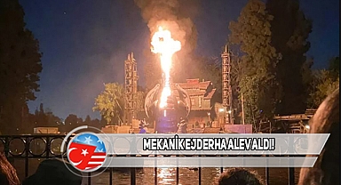 ABD Disneyland'de Panik Anları Kameraya Yansıdı