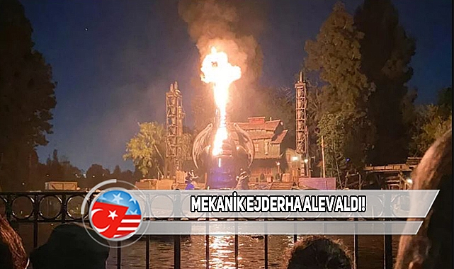 ABD Disneyland'de Panik Anları Kameraya Yansıdı